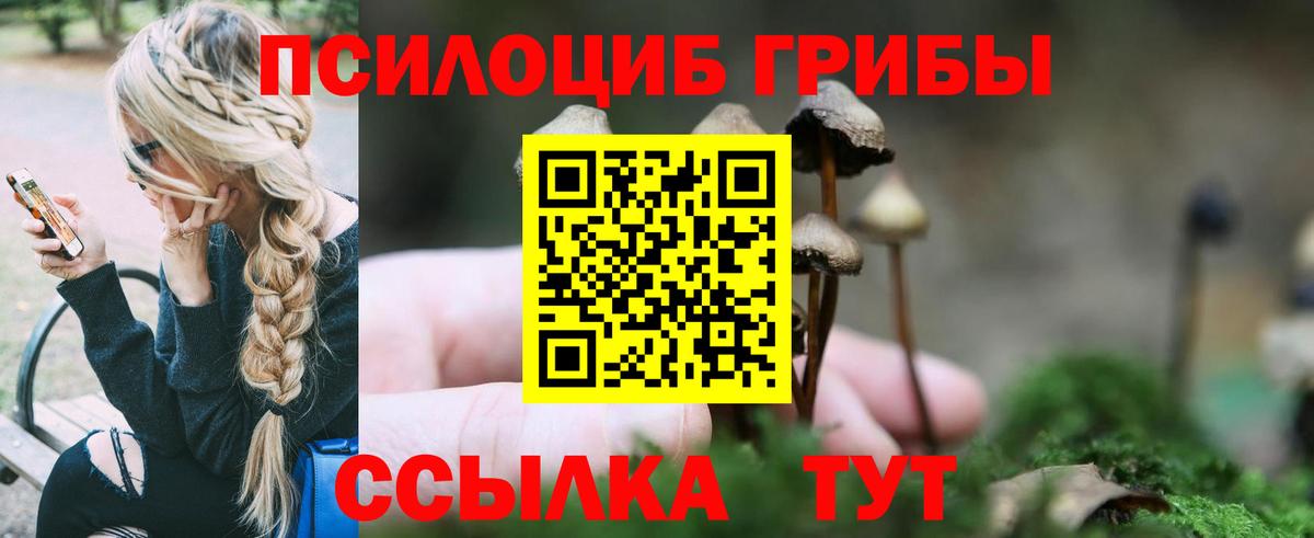 Ишим  Галлюциногенные грибы Cubensis  где можно купить наркотик  Вход с VPN 
