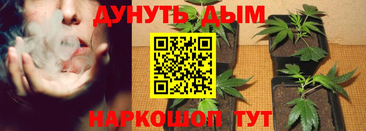Ишим  Шишки марихуана конопля  Бошки Шишки Ganja  Марихуана AK-47  Вход с VPN 